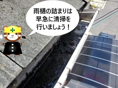 堺市南区｜雨樋詰まりの原因は落ち口の狭さ！落ち口を広げ問題解消